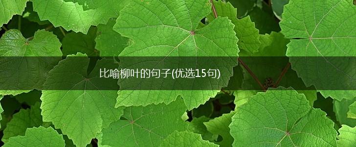 比喻柳叶的句子(优选15句),第1张