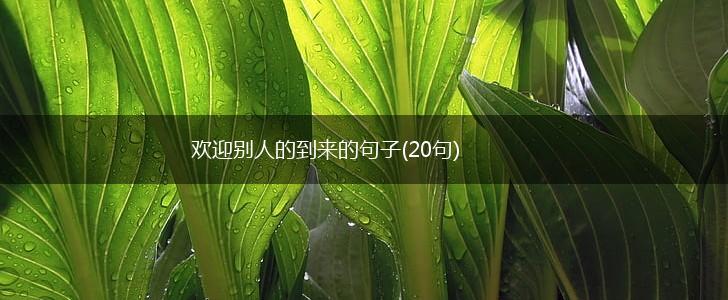 欢迎别人的到来的句子(20句),第1张