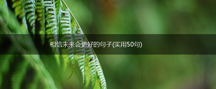 相信未来会更好的句子(实用50句),第1张