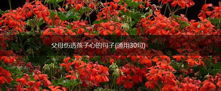 父母伤透孩子心的句子(通用30句),第1张