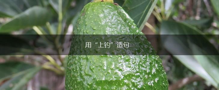用“上钓”造句,第1张