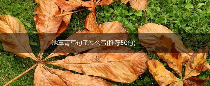 池草青写句子怎么写(推荐50句),第1张