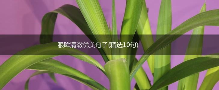 眼眸清澈优美句子(精选10句),第1张