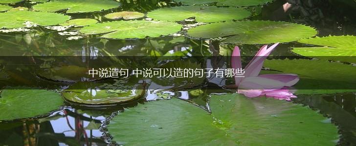 中说造句 中说可以造的句子有哪些,第1张