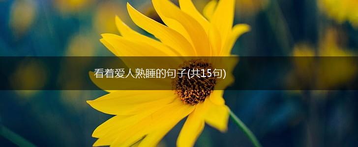 看着爱人熟睡的句子(共15句),第1张