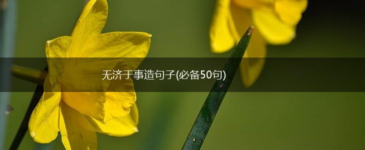 无济于事造句子(必备50句),第1张