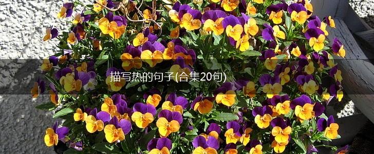 描写热的句子(合集20句),第1张