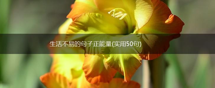 生活不易的句子正能量(实用50句),第1张