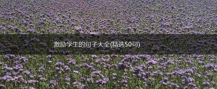 激励学生的句子大全(精选50句),第1张