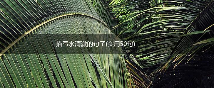 描写水清澈的句子(实用50句),第1张