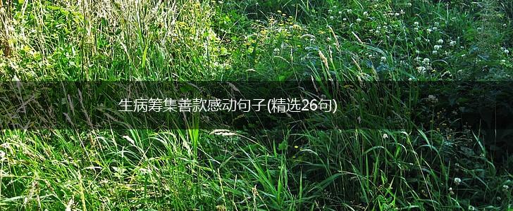 生病筹集善款感动句子(精选26句),第1张