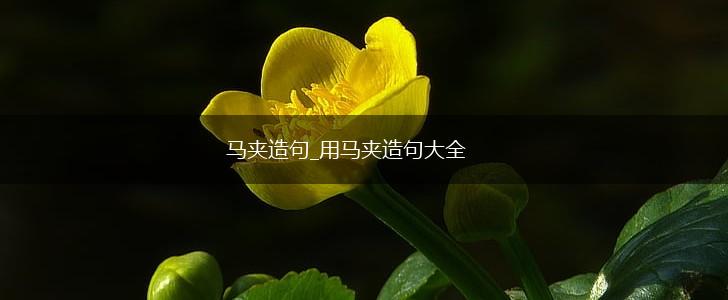 马夹造句_用马夹造句大全,第1张