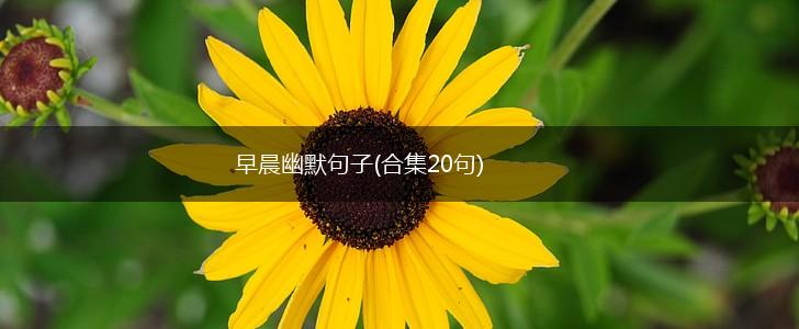 早晨幽默句子(合集20句),第1张