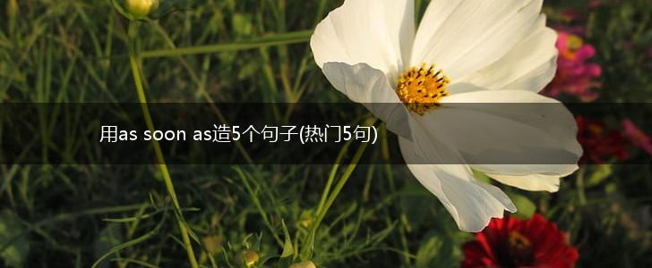 用as soon as造5个句子(热门5句),第1张