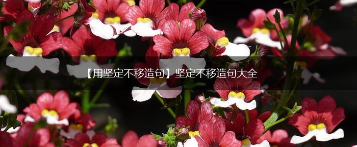 【用坚定不移造句】坚定不移造句大全,第1张