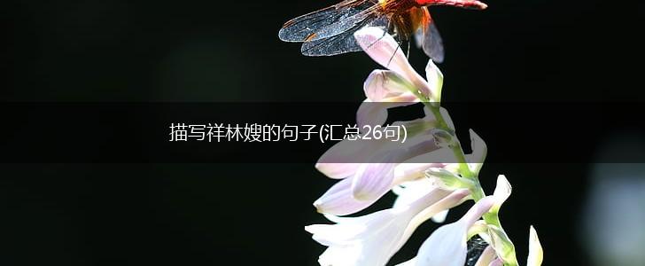 描写祥林嫂的句子(汇总26句),第1张