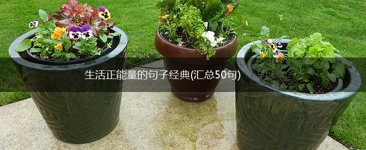 生活正能量的句子经典(汇总50句),第1张