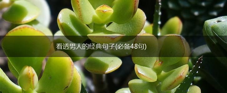 看透男人的经典句子(必备48句),第1张