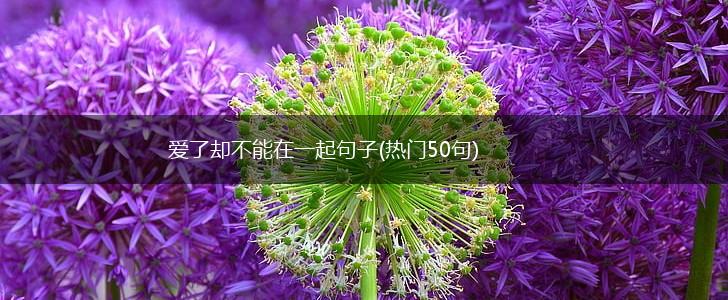 爱了却不能在一起句子(热门50句),第1张