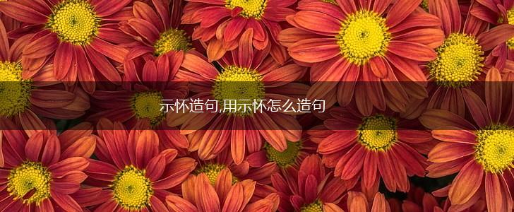 示怀造句,用示怀怎么造句,第1张