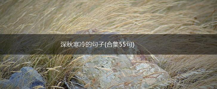 深秋寒冷的句子(合集55句),第1张