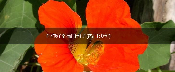 有你好幸福的句子(热门50句),第1张