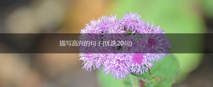 描写高兴的句子(优选20句),第1张