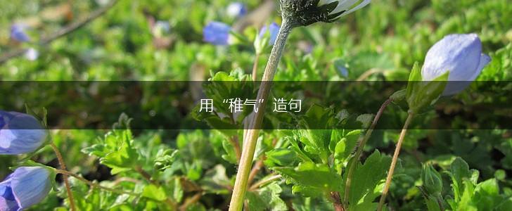 用“稚气”造句,第1张