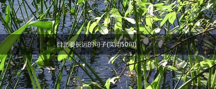 目光要长远的句子(实用50句),第1张