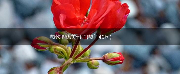热饮的优美句子(热门40句),第1张