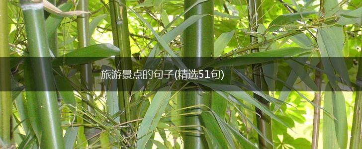 旅游景点的句子(精选51句),第1张