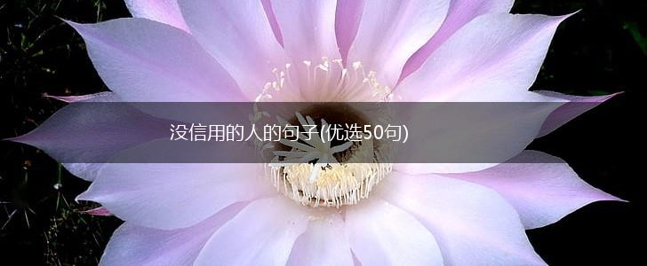 没信用的人的句子(优选50句),第1张