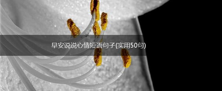 早安说说心情短语句子(实用50句),第1张