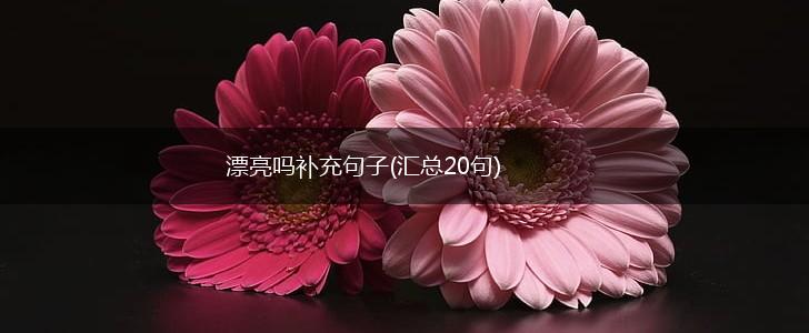 漂亮吗补充句子(汇总20句),第1张