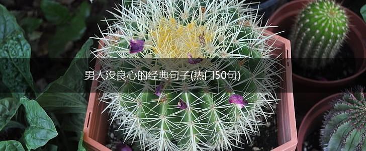 男人没良心的经典句子(热门50句),第1张