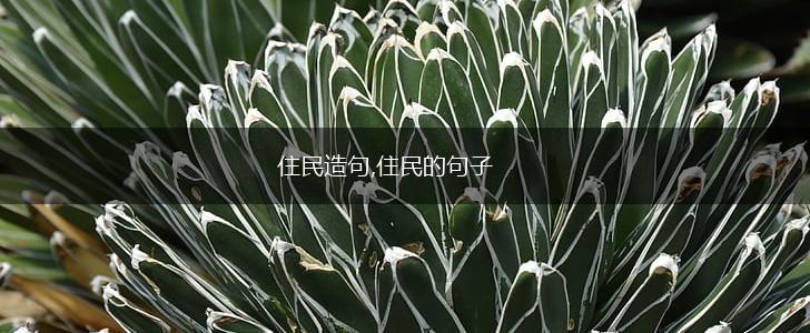 住民造句,住民的句子,第1张