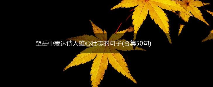 望岳中表达诗人雄心壮志的句子(合集50句),第1张