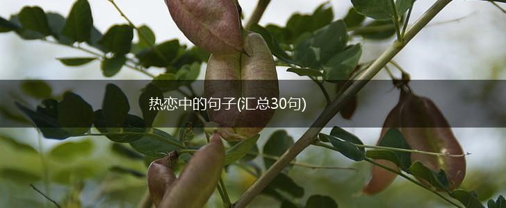 热恋中的句子(汇总30句),第1张