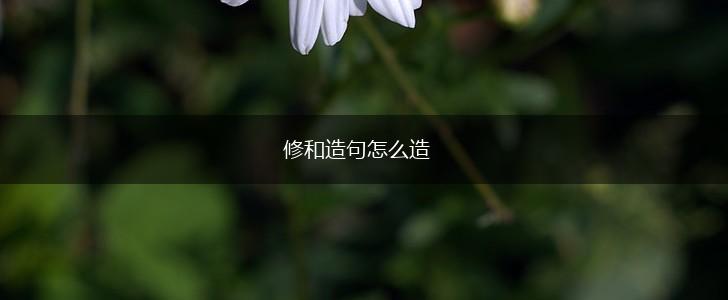 修和造句怎么造,第1张