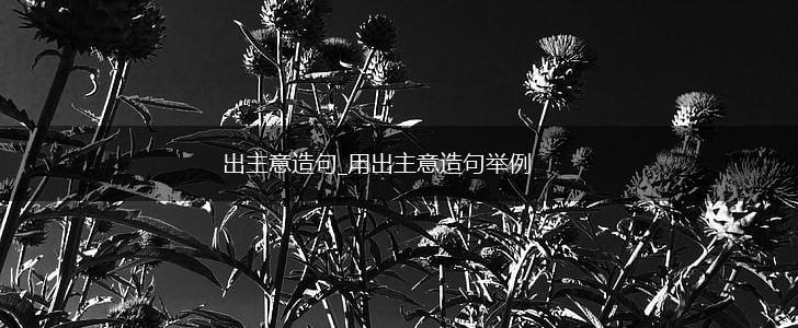 出主意造句_用出主意造句举例,第1张
