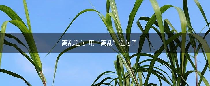 离乱造句_用“离乱”造句子,第1张