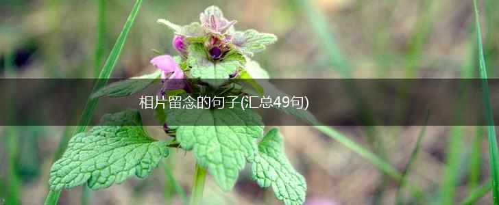 相片留念的句子(汇总49句),第1张