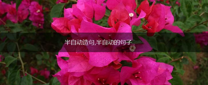 半自动造句,半自动的句子,第1张