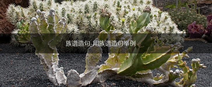 族谱造句_用族谱造句举例,第1张