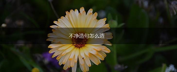 不净造句怎么造,第1张