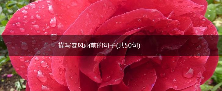 描写暴风雨前的句子(共50句),第1张