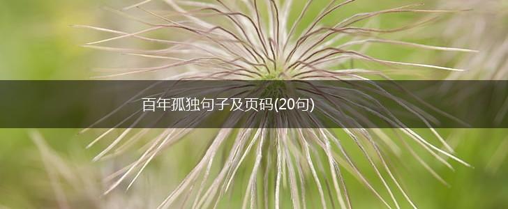 百年孤独句子及页码(20句),第1张