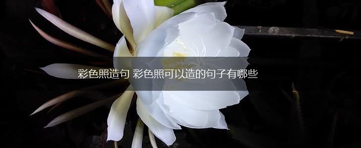 彩色照造句 彩色照可以造的句子有哪些,第1张