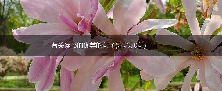 有关读书的优美的句子(汇总50句),第1张