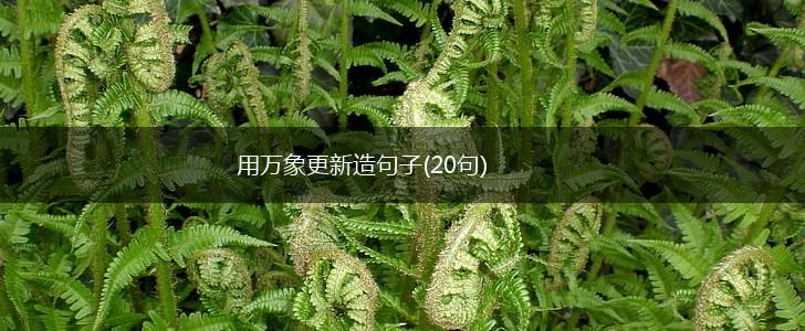 用万象更新造句子(20句),第1张